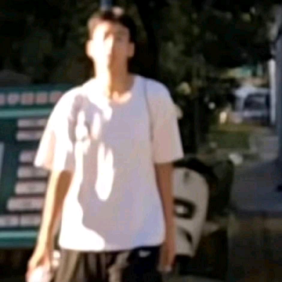 桢