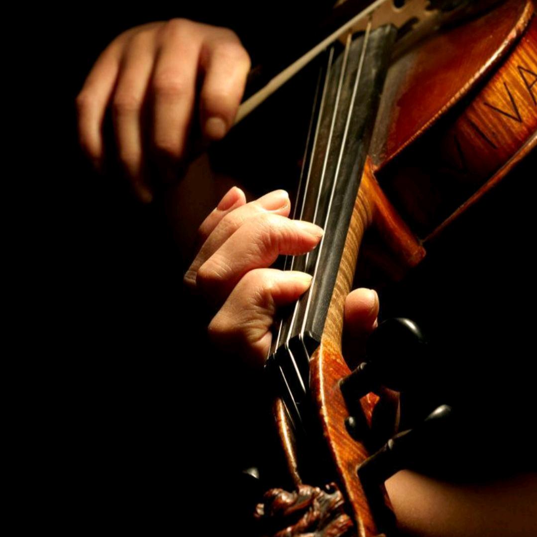 渠县青少年活动中心小提琴老师🎻