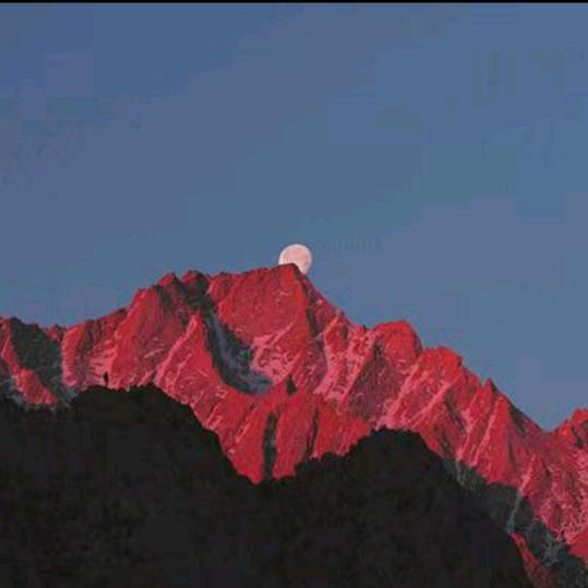 幸福😁
