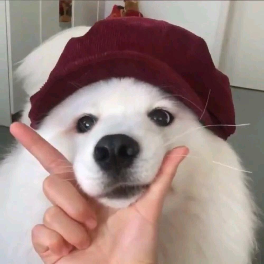 day美食推荐🍞
