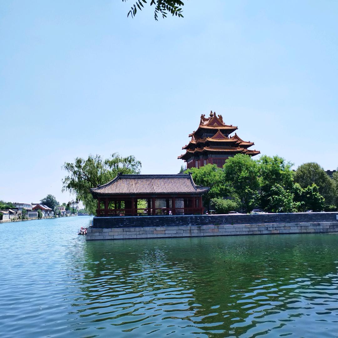 魏来可期