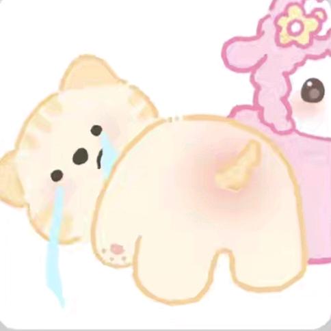 薛小猪