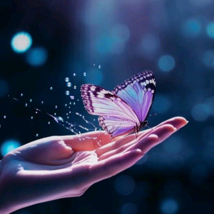 ☆꧁ღ᭄ꦿ棼姐☆