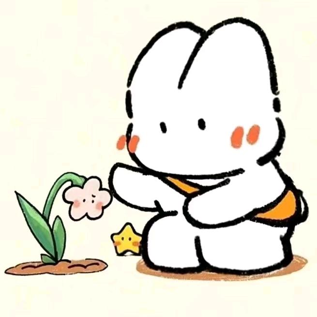 🌟吴小木🪼