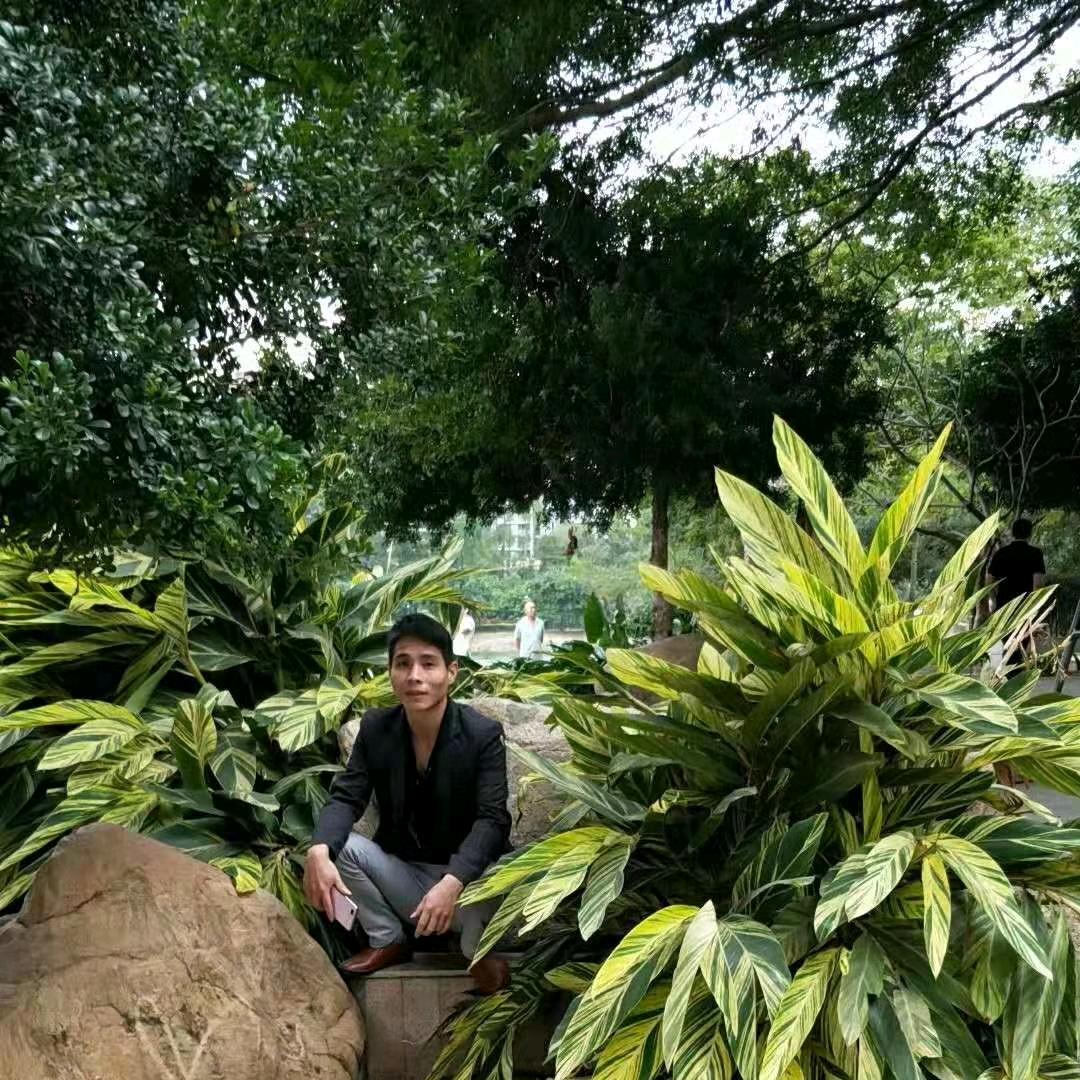 小戴
