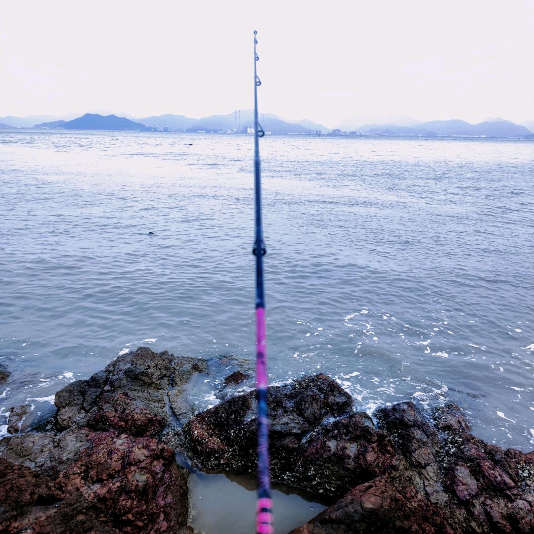 野钓阿李
