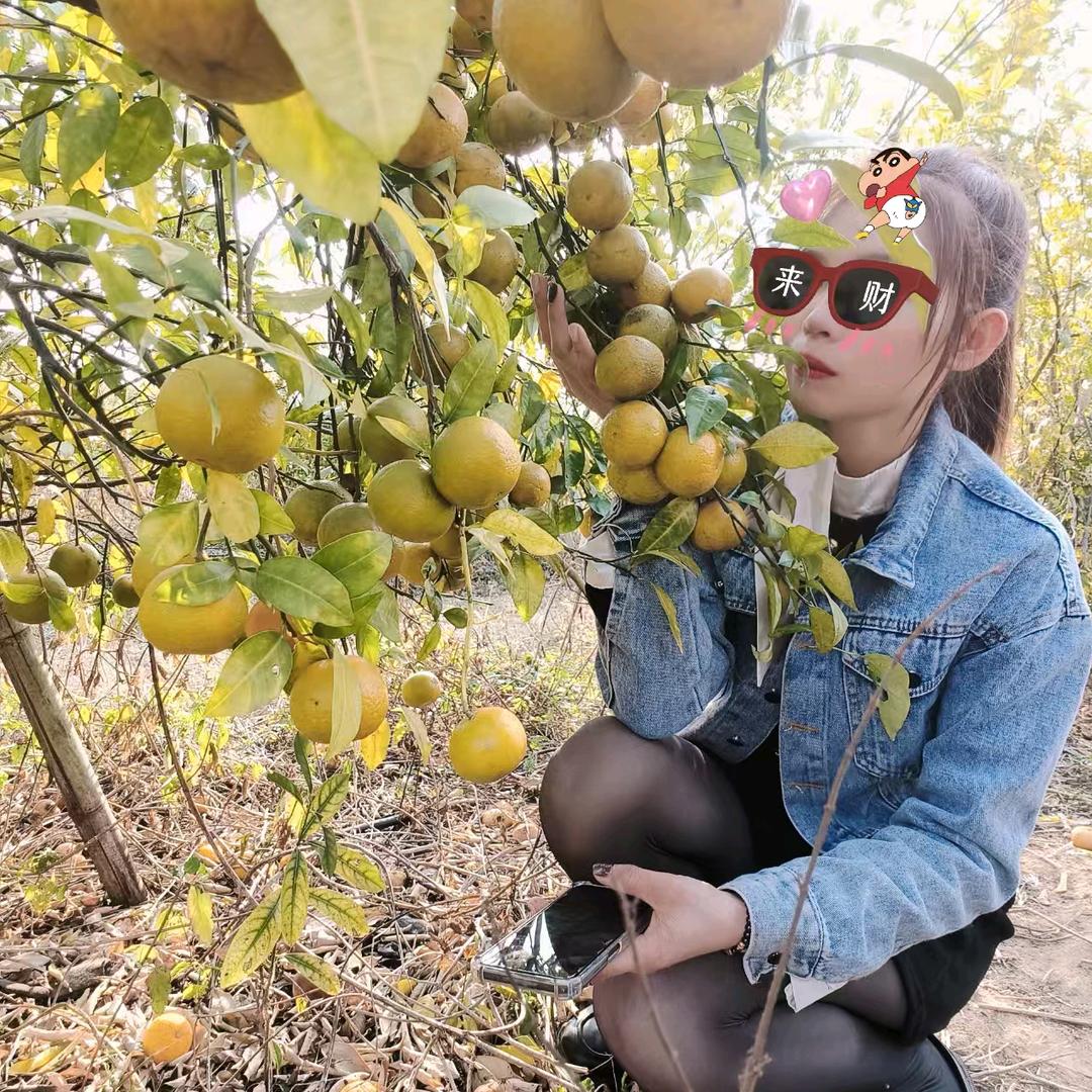 玲玲安铺农合水果店长安路15号零售批发