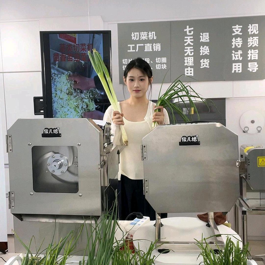 俊儿媳拌馅机切菜机工厂