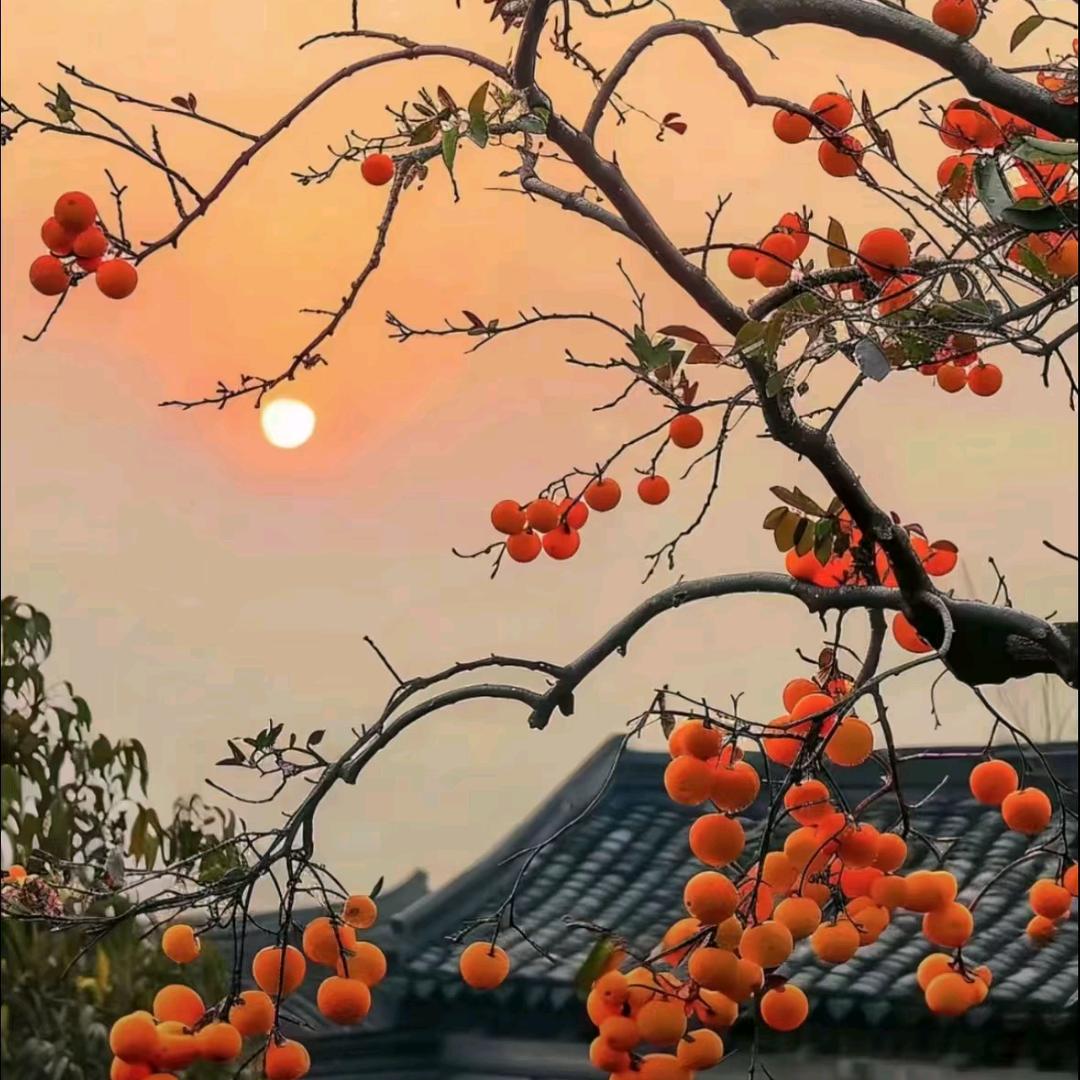郭郭不是锅