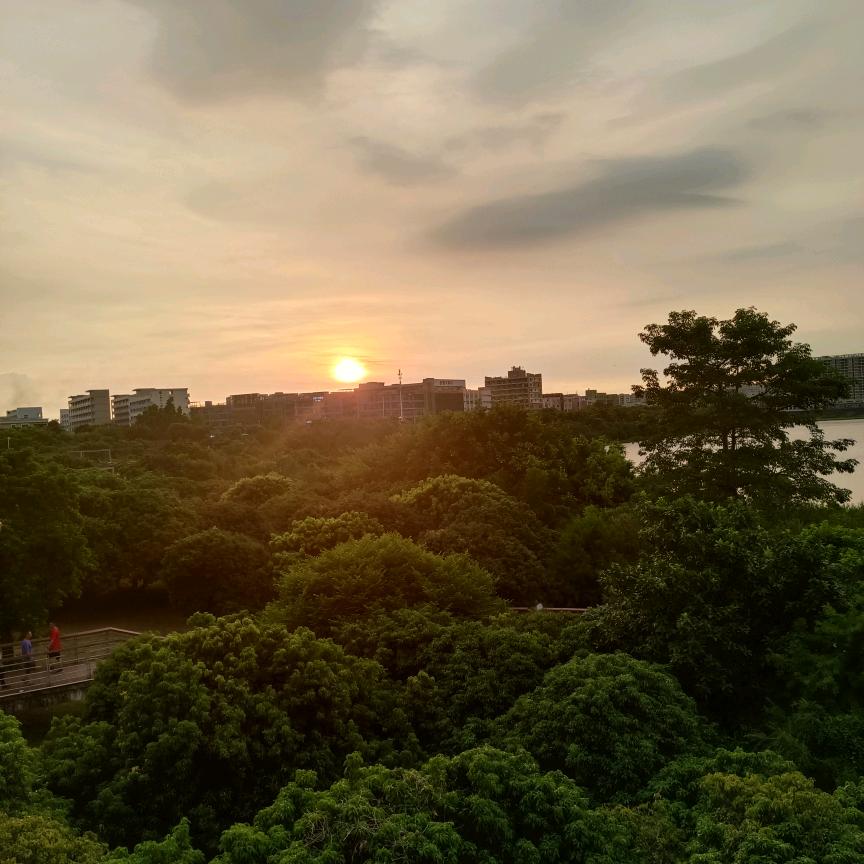 步步为赢