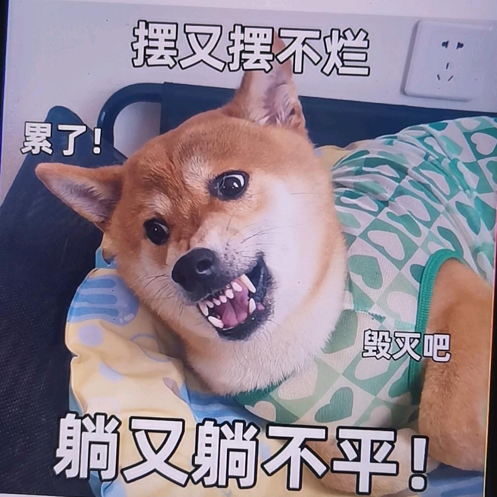 小小老子脾气暴