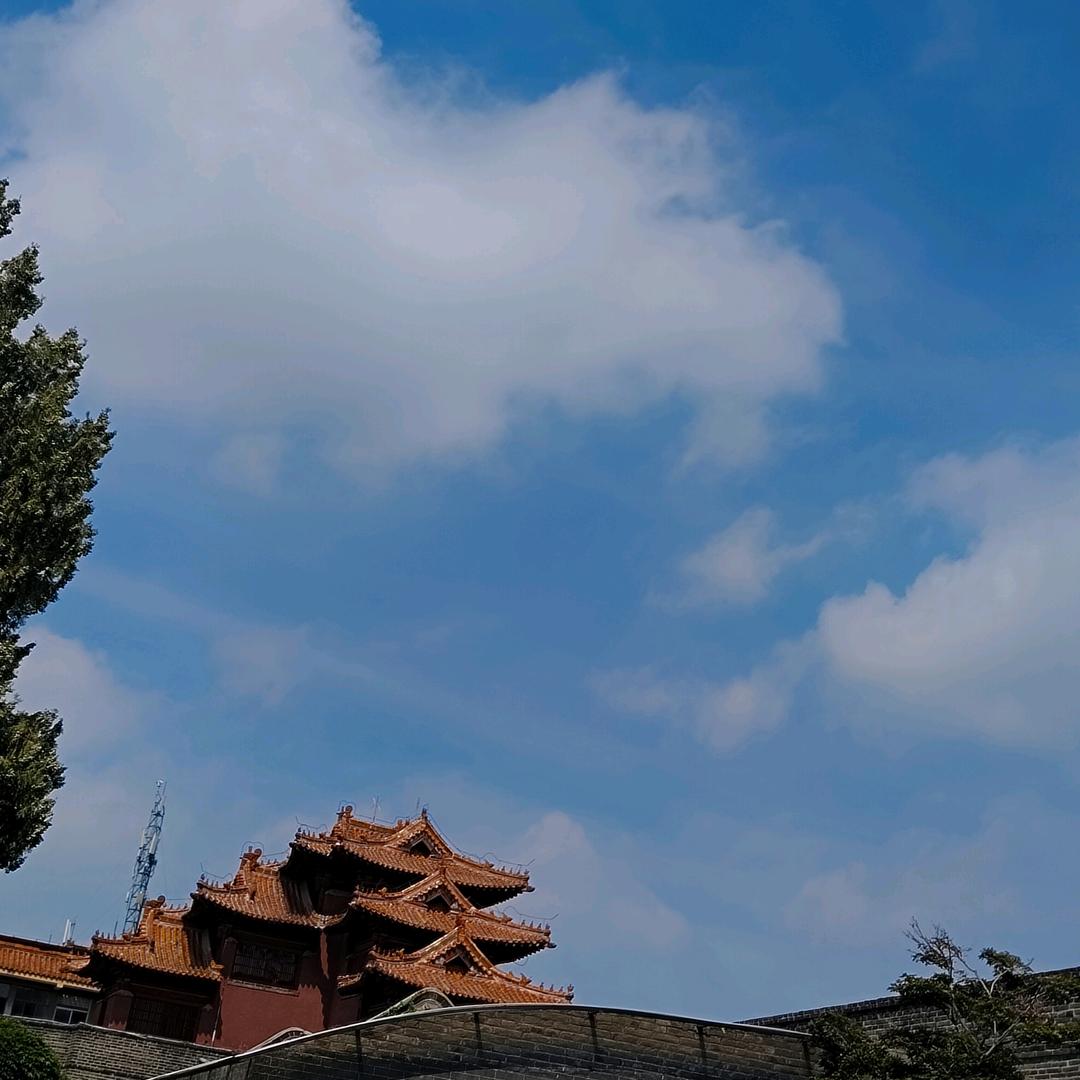 ❦哆哆💰❦（寿司饭团）
