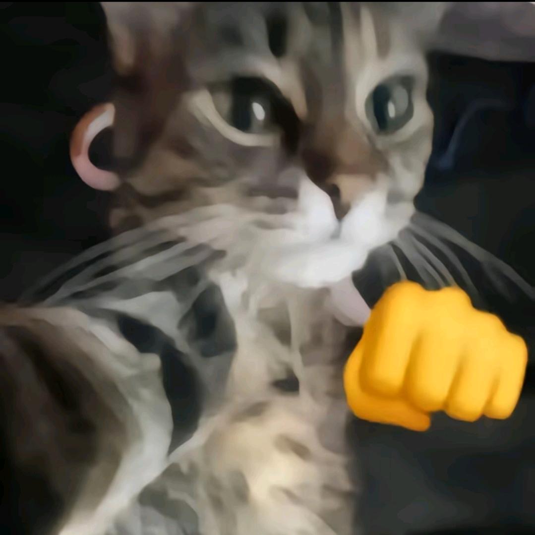 IE丶梦