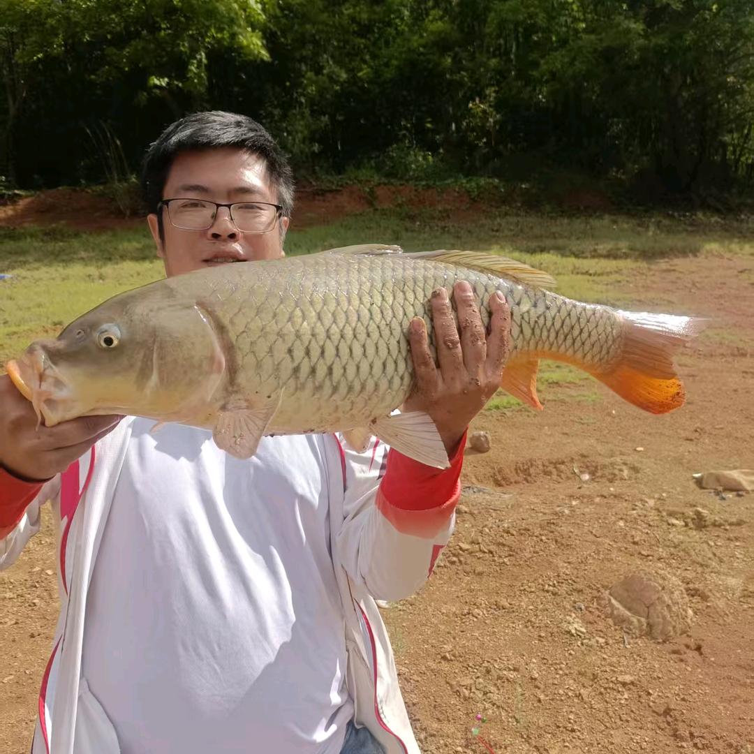 洪哥野钓🎣