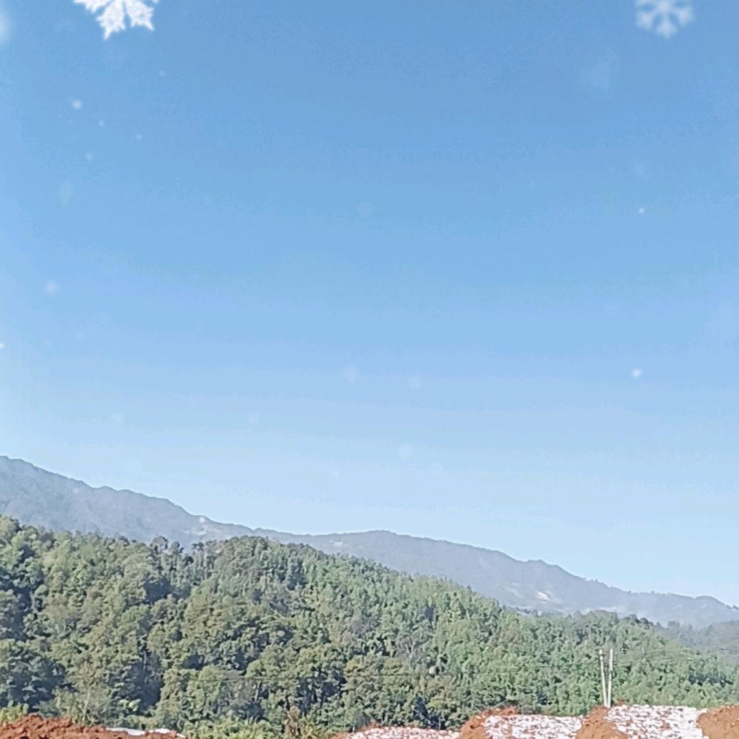 一生平安