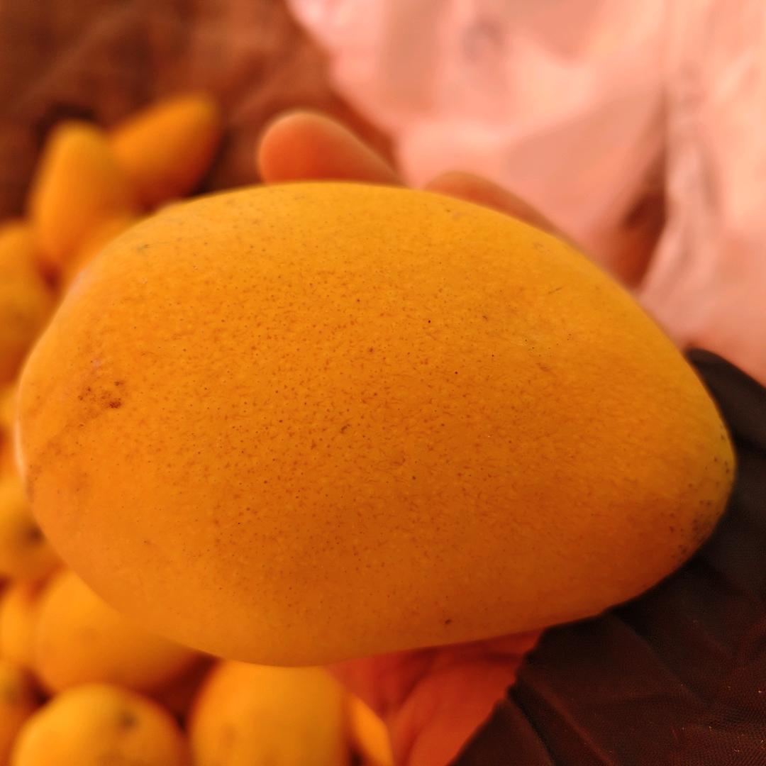 阳光