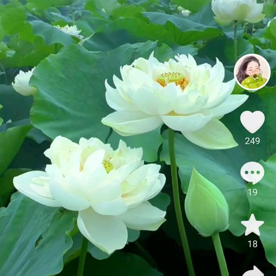 自由飞翔的鸟！