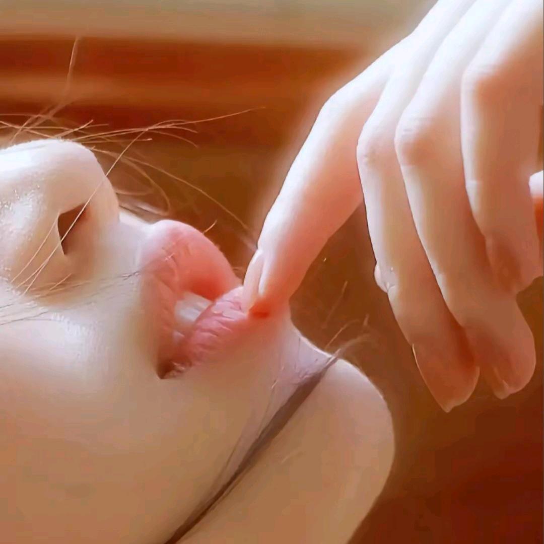 红颜知己