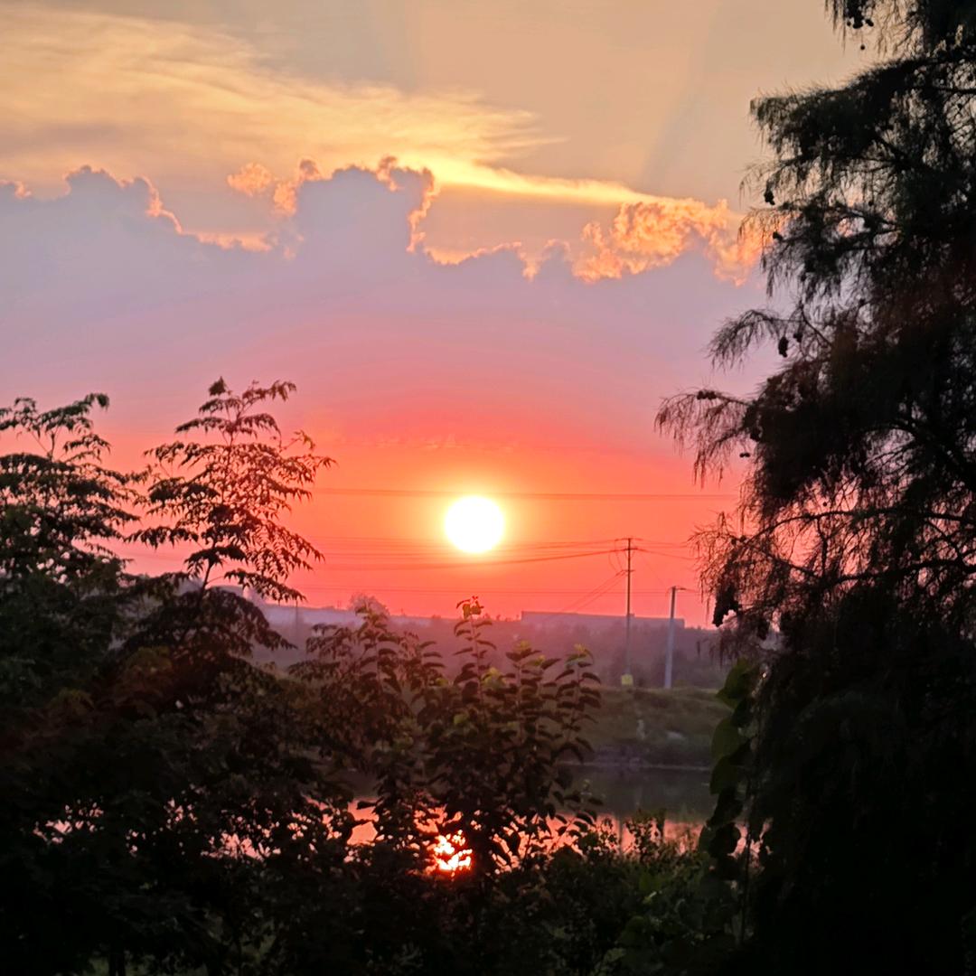 『whocares』冲1000粉