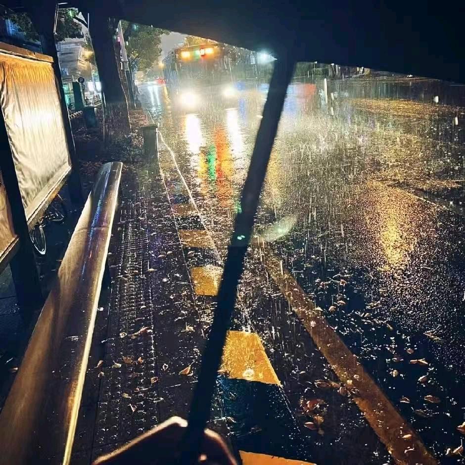 雨游