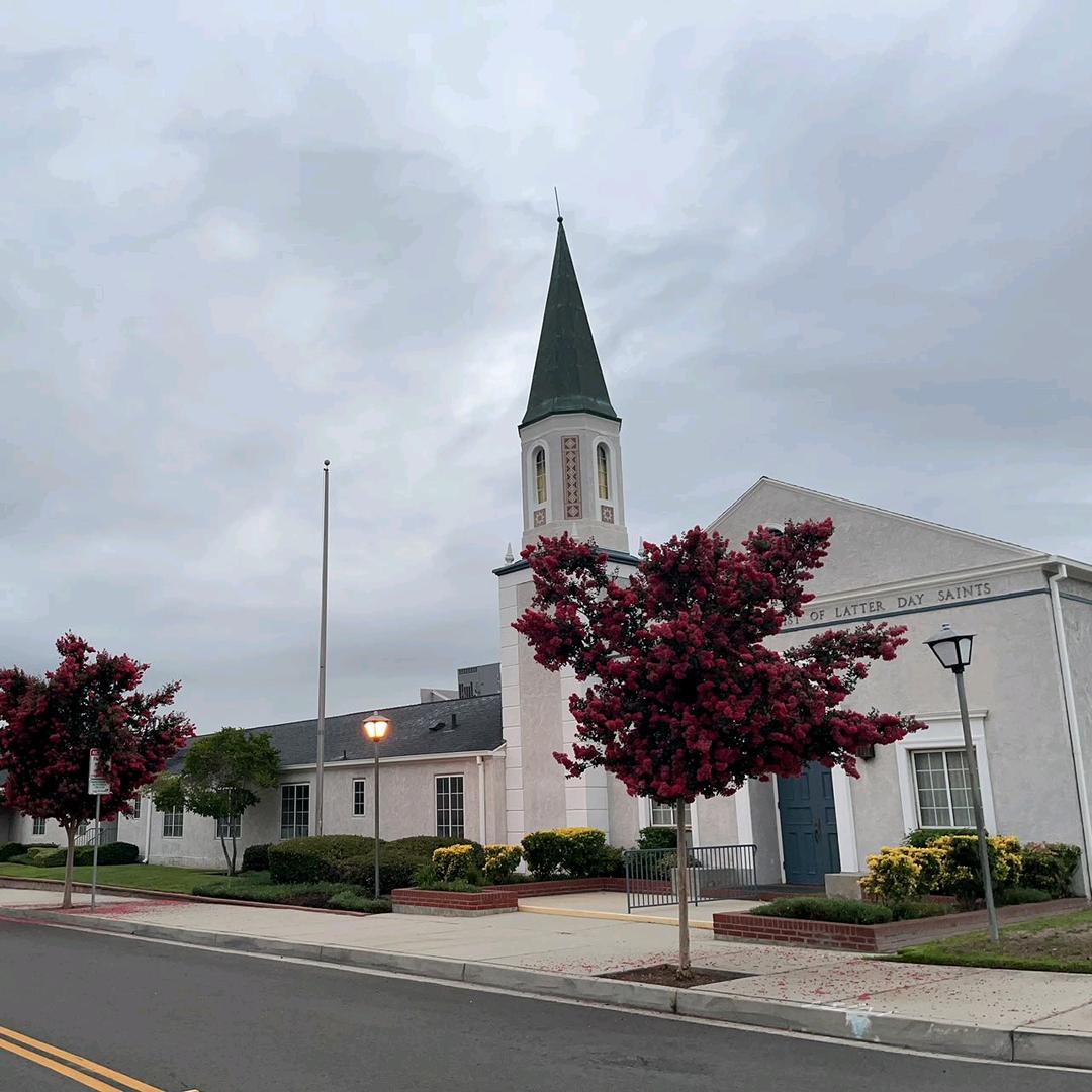 Mr 夏在美国（LA海外仓、家庭仓联盟）