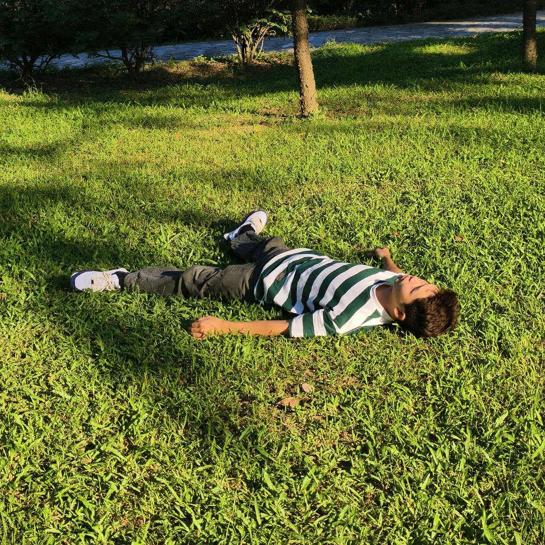 花开富贵（重起版）