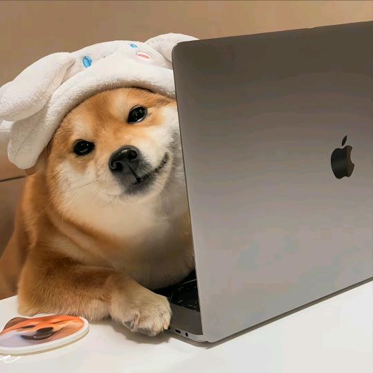 柚子百货臻选