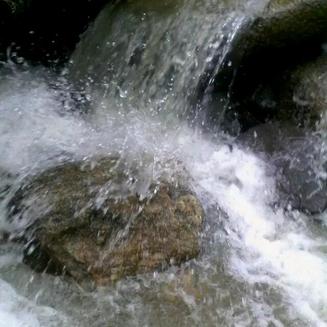 晨煊