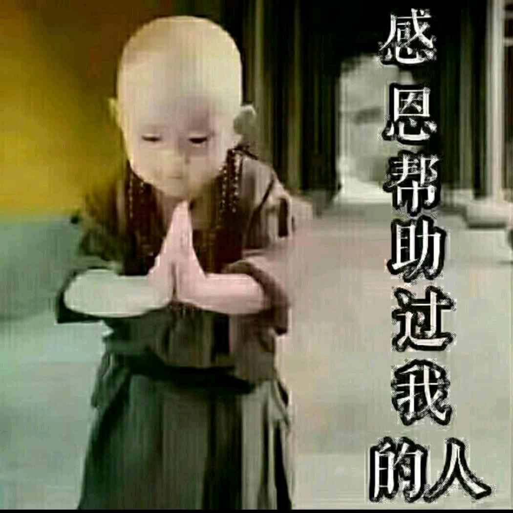 安庆龙