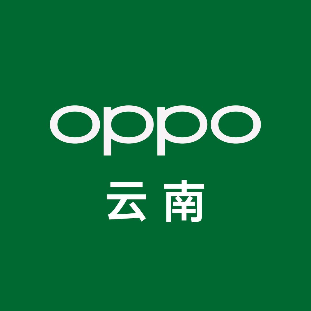 元江OPPO体验店
