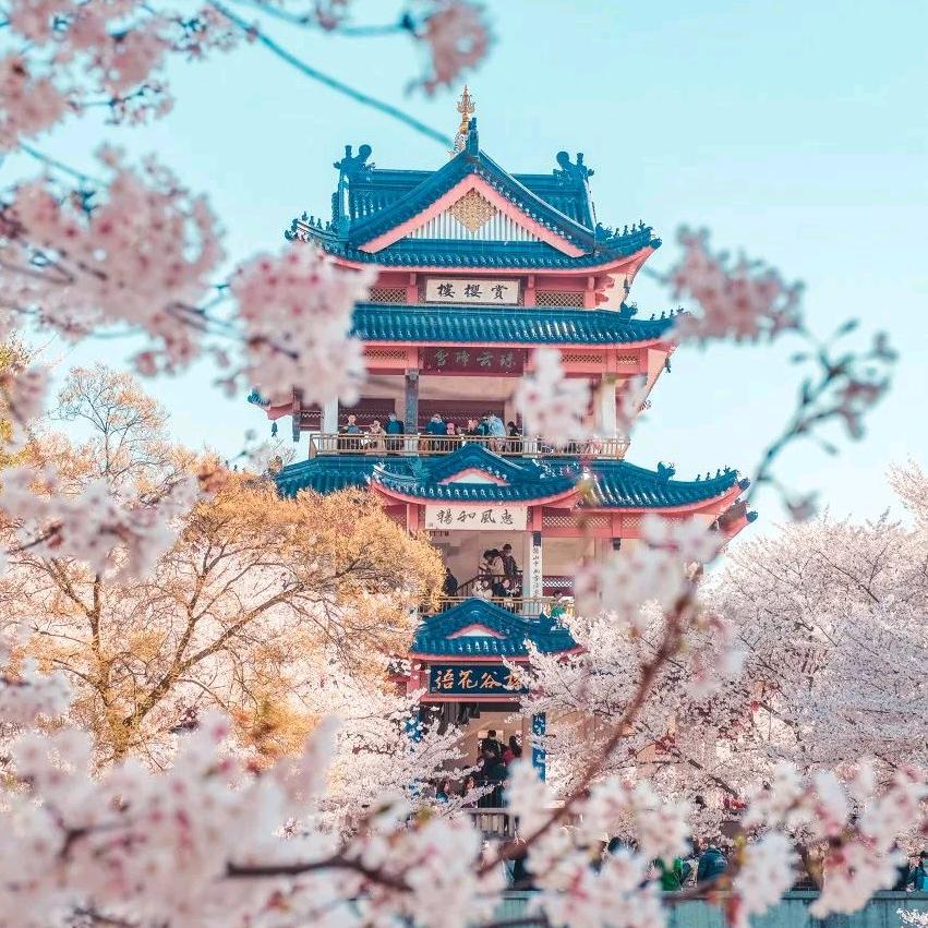 合 一
