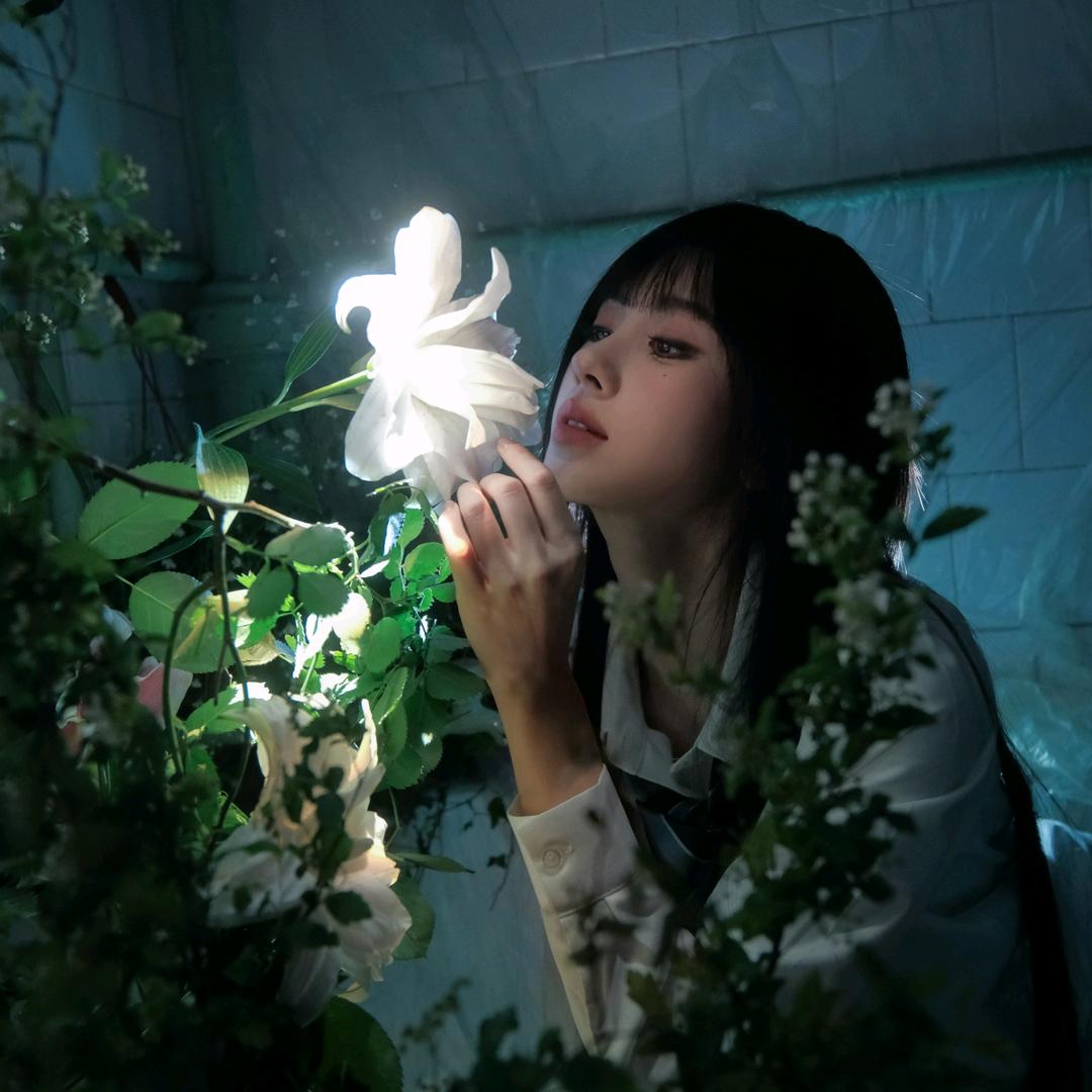 星夜流光