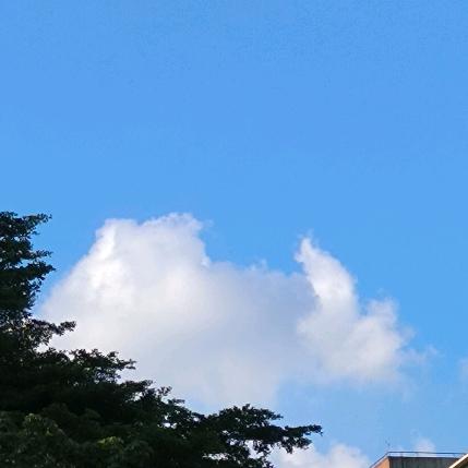 一亩清欢共享菜园