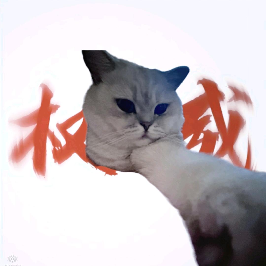 星愿qwq