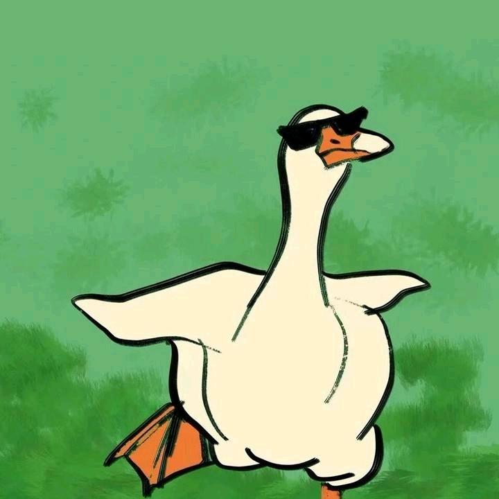 哇塞鹅
