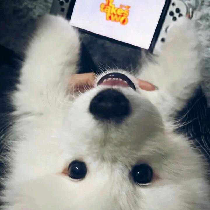沃德发