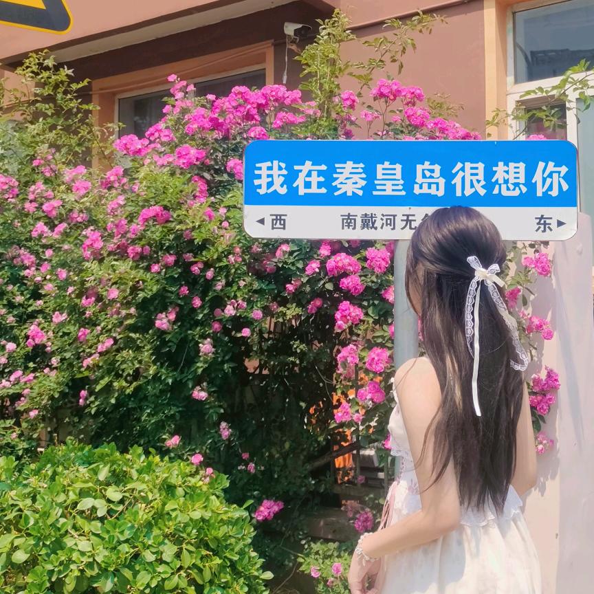 .小艾不爱.^