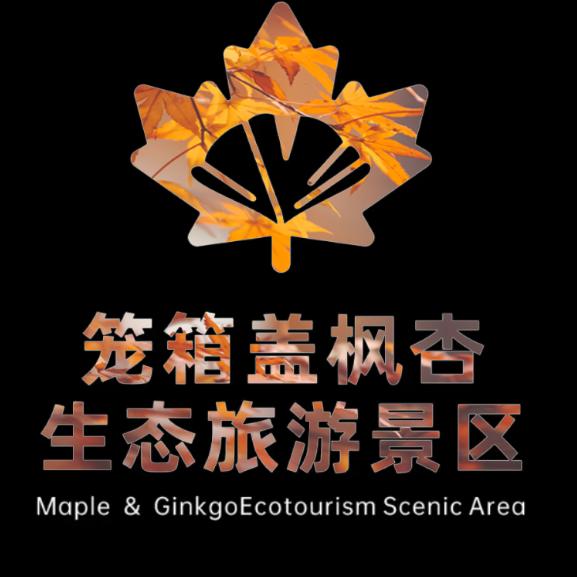 南丹笼箱盖枫杏景区