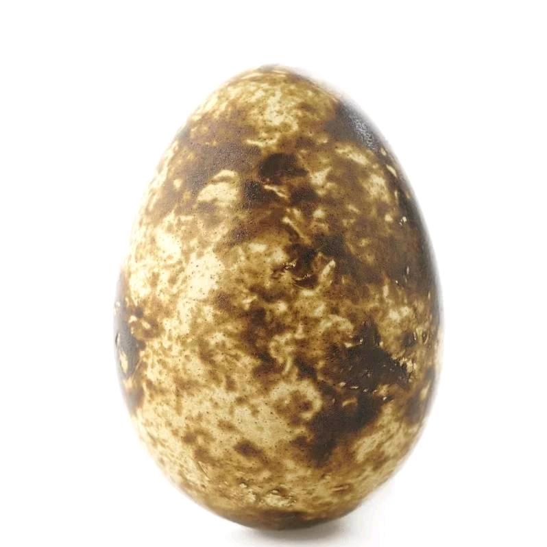 泡泡堂财神蛋蛋