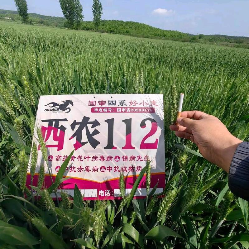 胜禾农业