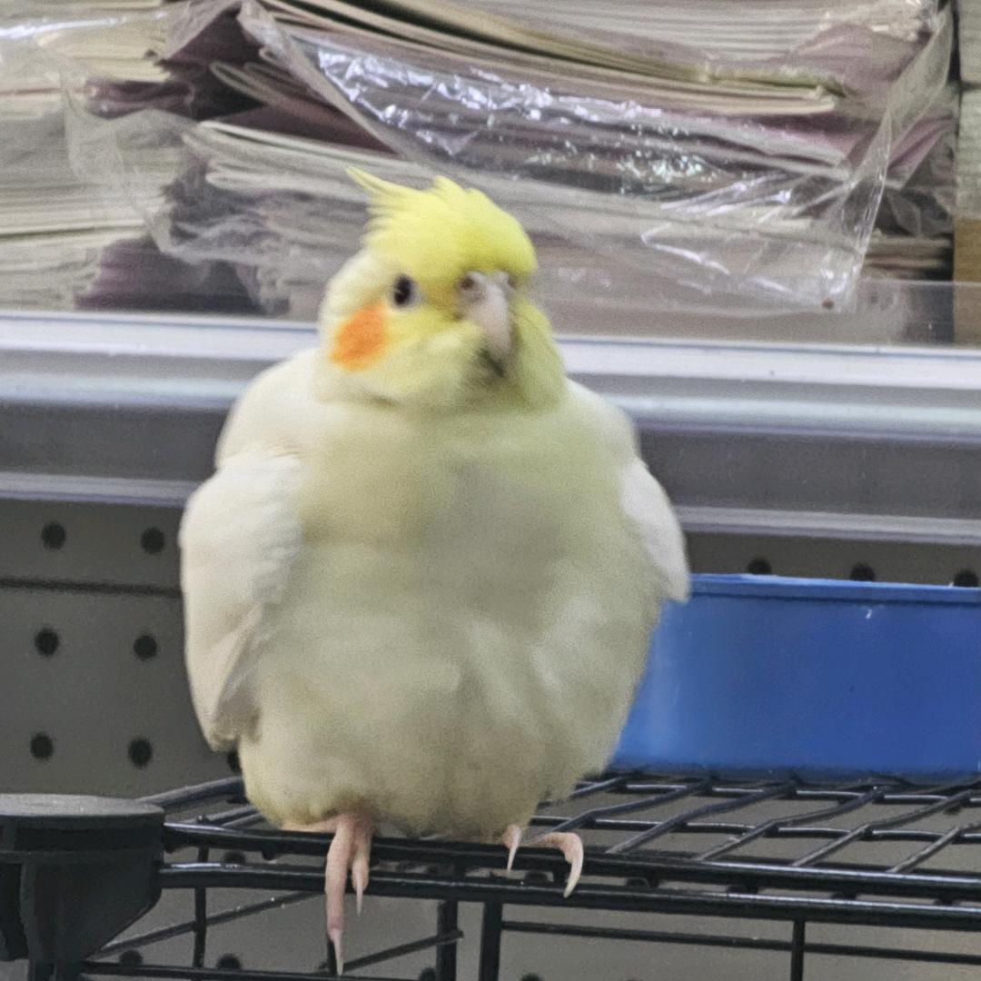 雾绕空