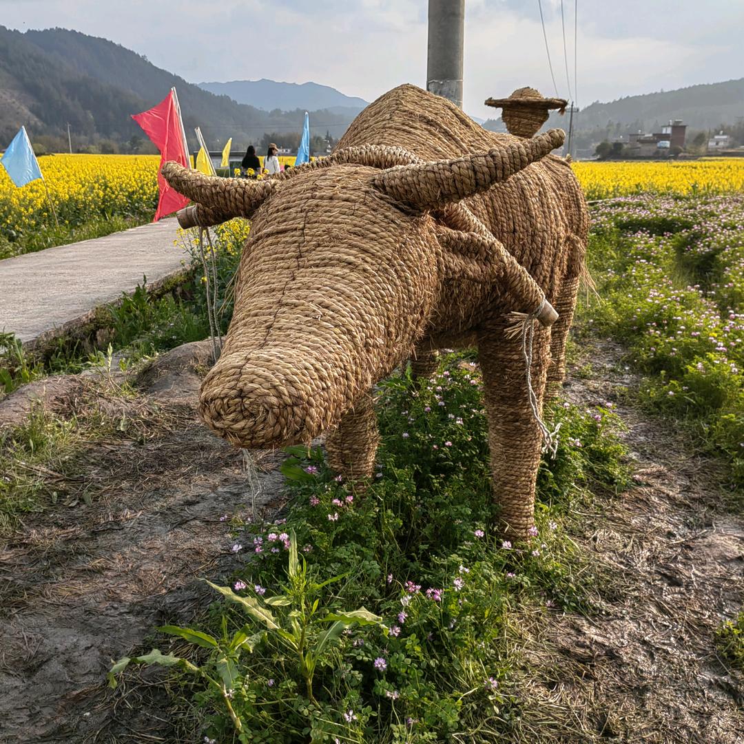 栖心驿家