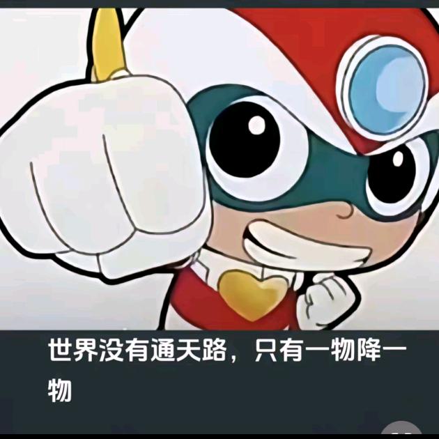 李琳烧鸡店（玩了一年忍战卡卡西）