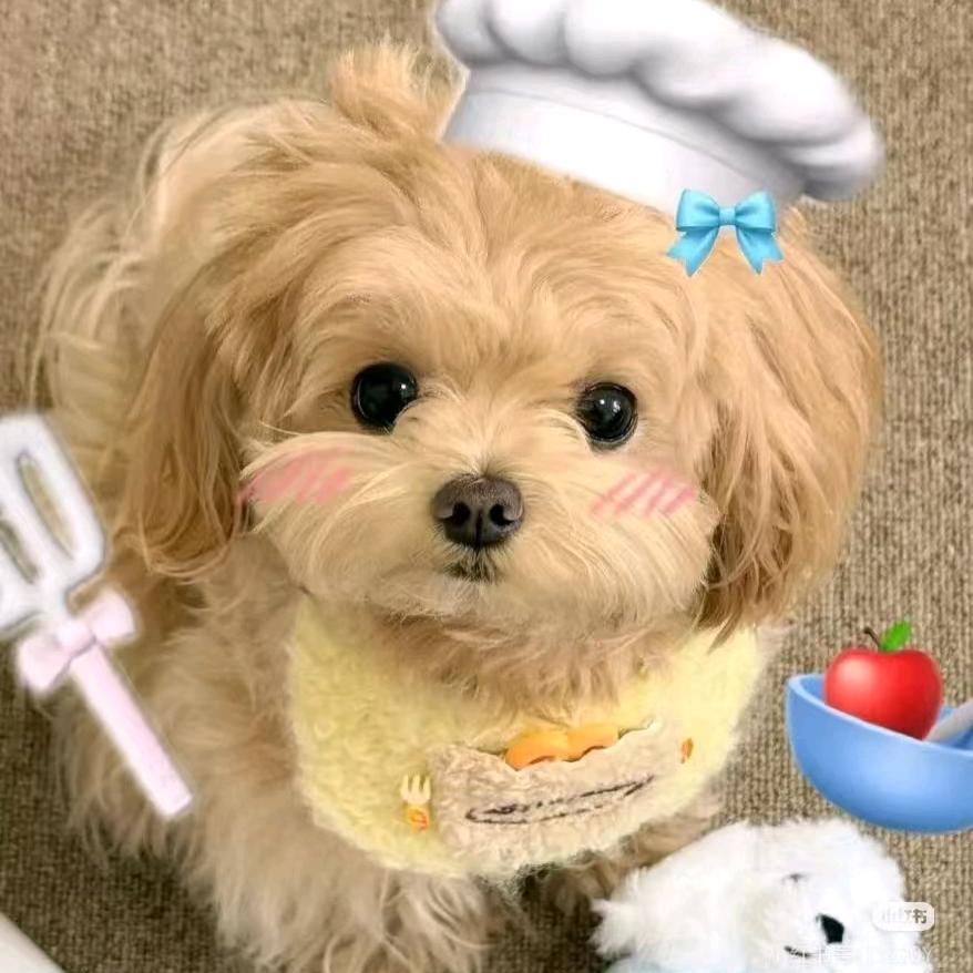 ｡• 👅 •｡