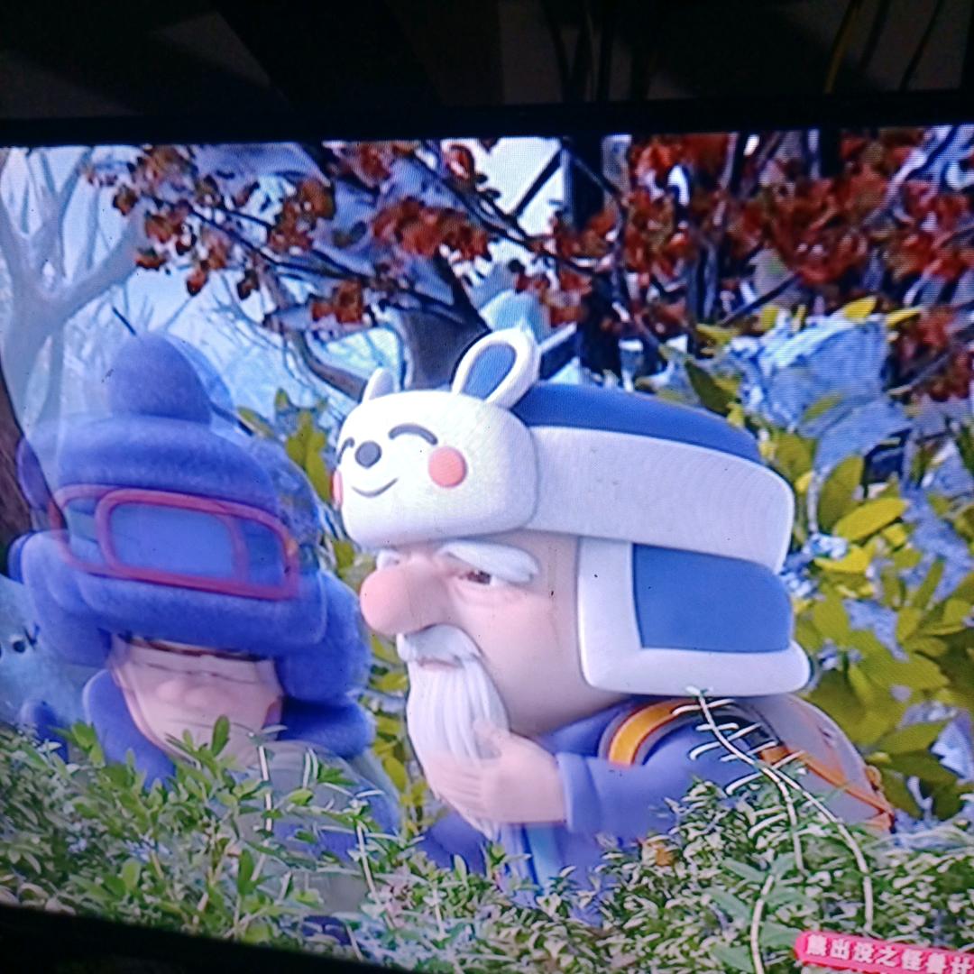 波乐