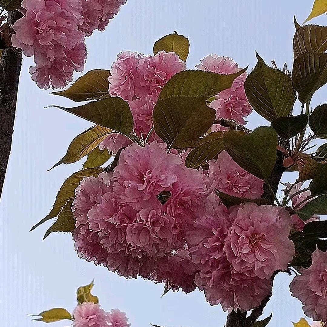一切看淡顺其自然