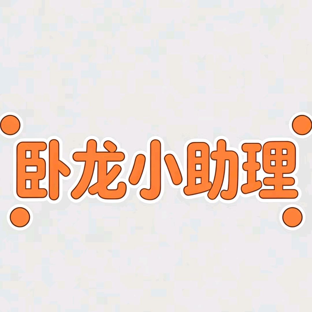 卧龙小助理(电击小子版)