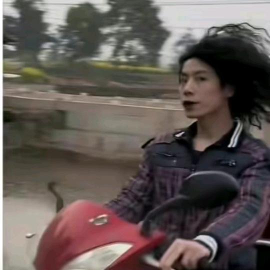 飞天小兔警🐰（见过峻霖版