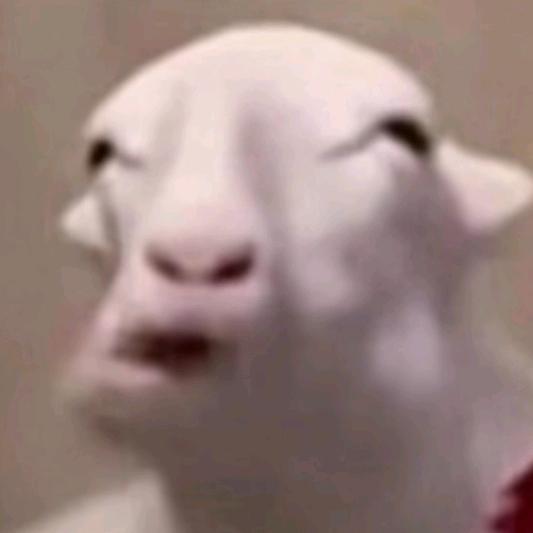敕樂