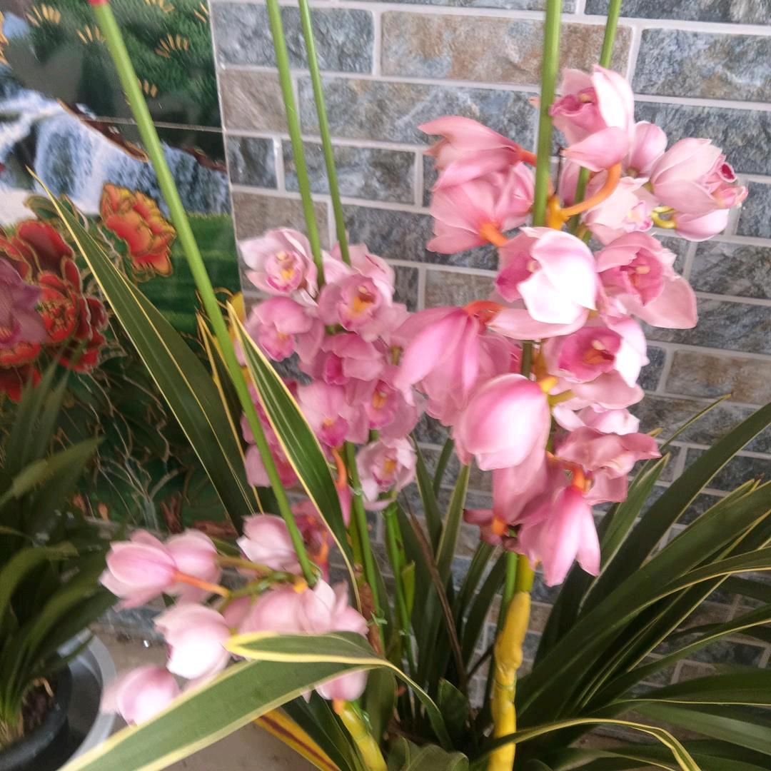 幸福